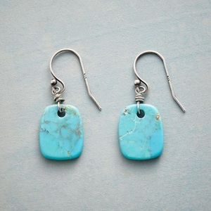 NEW IN PACKAGE- Sundance Nature’s Art Earrings